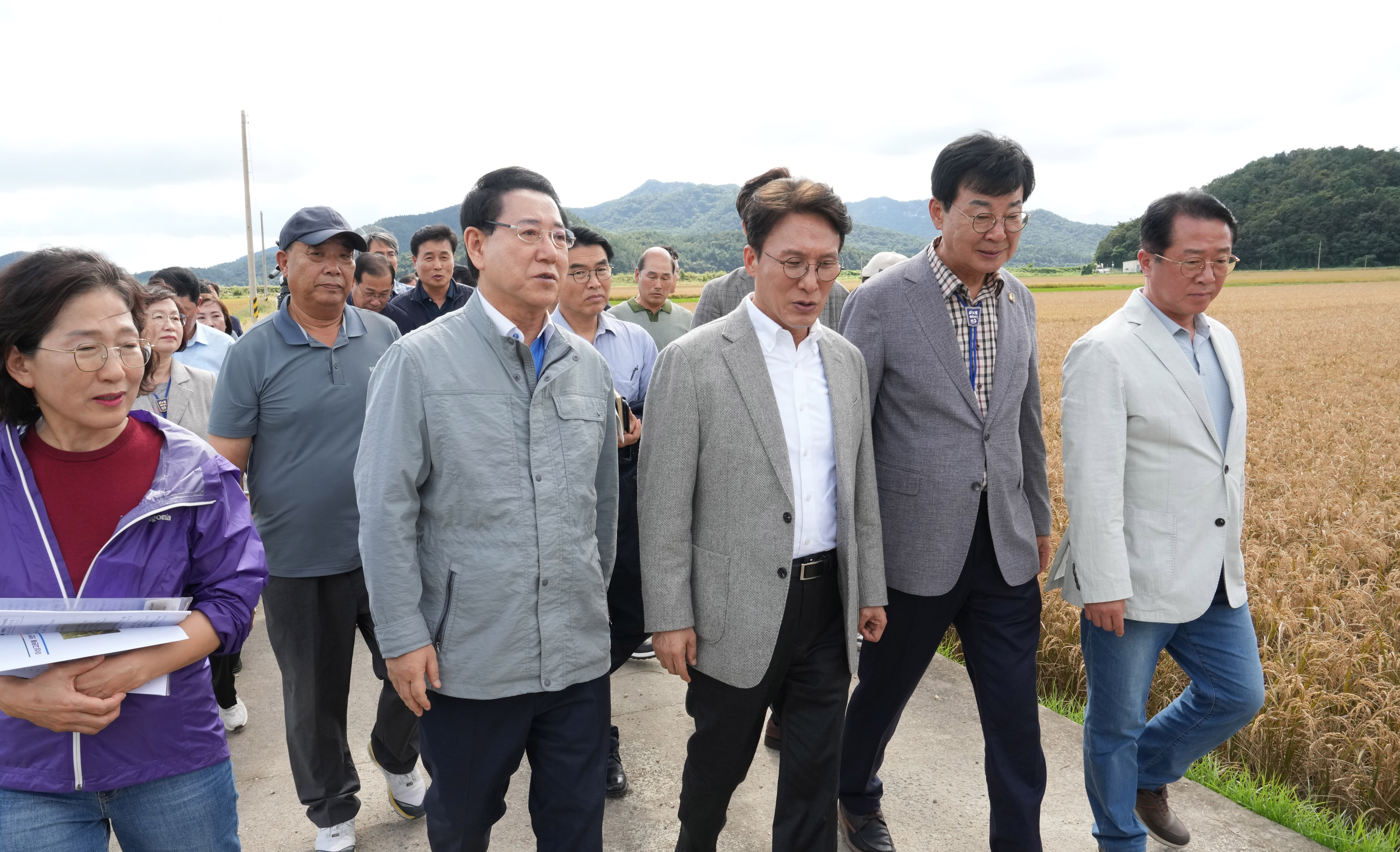 김민석 국무총리 전남도 민생현장 방문(장흥 벼 깨씨무늬병 피해지역 현장 방문)4