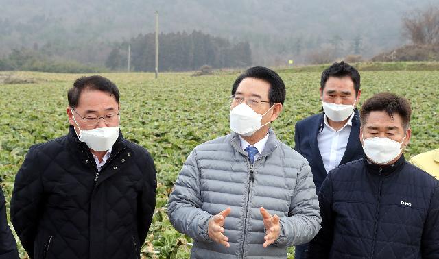 겨울배추 산지동향 및 배추관련 시설 점검
