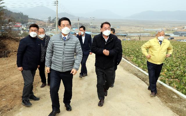 겨울배추 산지동향 및 배추관련 시설 점검