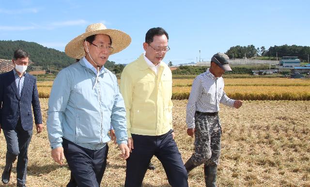2022년 벼 수확현장 점검