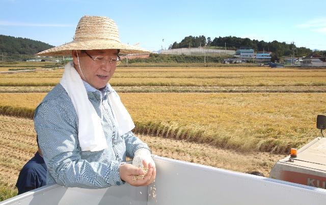 2022년 벼 수확현장 점검
