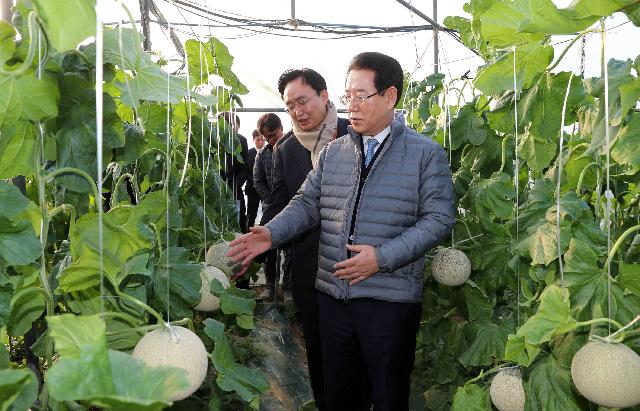 나주 세지면 멜론 재배 농가 방문