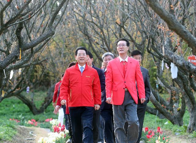 신안 임자면 튤립정원 방문