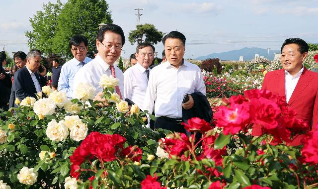 제13회 곡성 세계장미축제