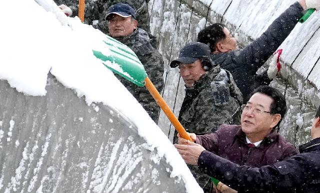 시설하우스 쌓인 눈 치우는 김영록 도지사