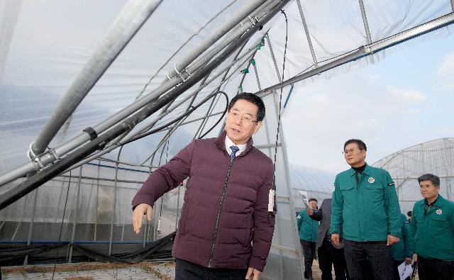 함평군 대설·한파 피해현장 방문