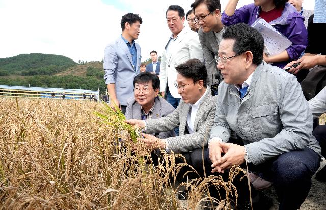 김민석 국무총리 전남도 민생현장 방문(장흥 벼 깨씨무늬병 피해지역 현장 방문)