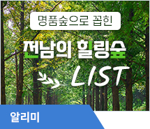 당신을 치유해 드릴 전남의 힐링 숲으로 오세요!