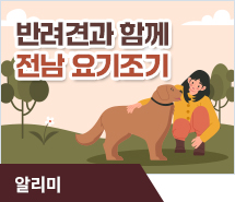 반려견과 함께 전남 요기조기