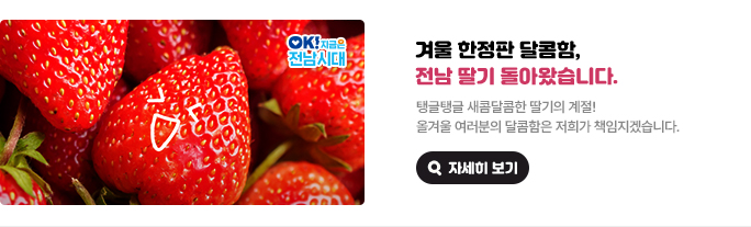 겨울 한정판 달콤함, 전남 딸기 돌아왔습니다. 탱글탱글 새콤달콤한 딸기의 계절! 올겨울 여러분의 달콤함은 저희가 책임지겠습니다. OK! 지금은 전남시대 자세히 보기(새 창 열림)
