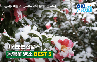 미리보는 전남 동백꽃 명소 BEST 5 &copy;네이버블로그_다루자매와 함께하는 24시, OK! 지금은 전남시대(새 창 열림)