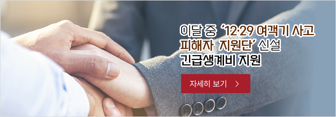 이달 중 ‘12·29 여객기 사고 피해자 지원단’ 신설…긴급생계비 지원