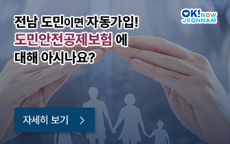 전남 도민이면 자동가입! 도민안전공제보험에 대해 아시나요? 자세히 보기