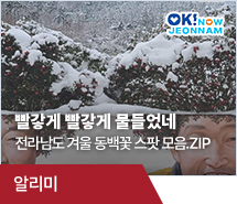 빨갛게 빨갛게 물들었네~전라남도 겨울 동백꽃 스팟 모음. ZIP