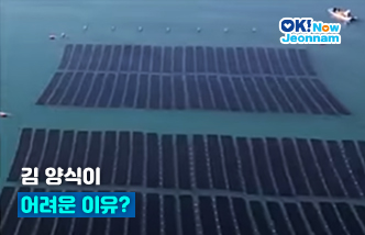김 양식이 어려운 이유?(새 창 열림)