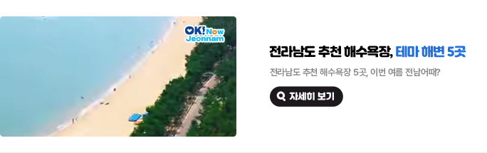 전라남도 추천 해수욕장, 테마 해변 5곳. 전라남도 추천 해수욕장 5곳, 이번 여름 전남어때? 자세히 보기(새 창 열림)