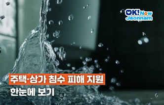 주택·상가 침수 피해 지원 한눈에 보기(새 창 열림)