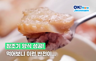 참조기 양식 성공! 먹어보니 이런 반전이...(새 창 열림)