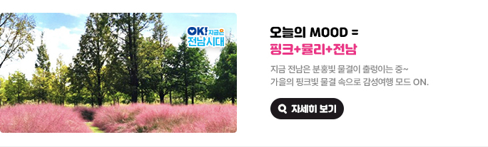 오늘의 mood = 핑크+뮬리+전남 지금 전남은 분홍빛 물결이 출렁이는 중~ 가을의 핑크빛 물결 속으로 감성여행 모드 ON. OK! 지금은 전남시대 자세히 보기(새 창 열림)