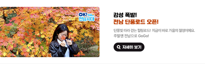 감성 폭발! 전남 단풍로드 오픈! 단풍빛 따라 걷는 힐링로드! 지금이 바로 가을의 절정이에요. 주말엔 전남으로 GoGo! OK! 지금은 전남시대 자세히 보기(새 창 열림)