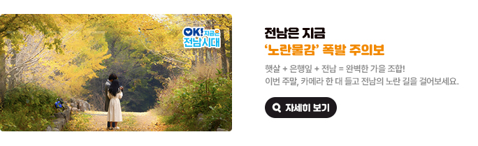 전남은 지금 ‘노란물감’ 폭발 주의보. 햇살 + 은행잎 + 전남 = 완벽한 가을 조합! 이번 주말, 카메라 한 대 들고 전남의 노란 길을 걸어보세요. OK! 지금은 전남시대 자세히 보기(새 창 열림)