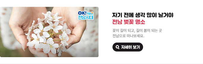 자기 전에 생각 많이 날거야 전남 벚꽃 명소. 꽃이 길이 되고, 길이 봄이 되는 곳 전남으로 떠나보세요. OK! 지금은 전남시대 자세히 보기(새 창 열림)