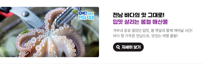 전남 바다의 맛 그대로! 입맛 살리는 봄철 해산물. 겨우내 꽁꽁 얼었던 입맛, 봄 햇살과 함께 깨어날 시간! 바다 향 가득한 전남으로, 맛있는 여행 출발! OK! 지금은 전남시대 자세히 보기(새 창 열림)