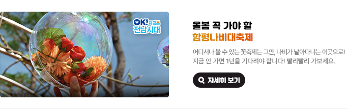 올봄 꼭 가야 할 함평나비대축제. 어디서나 볼 수 있는 꽃축제는 그만, 나비가 날아다니는 이곳으로! 지금 안 가면 1년을 기다려야 합니다! 빨리빨리 가보세요. OK! 지금은 전남시대 자세히 보기(새 창 열림)